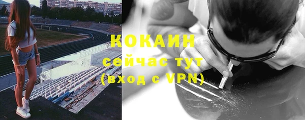 шишки Абдулино