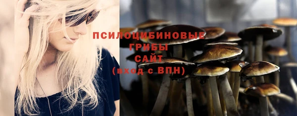 амф Алексеевка
