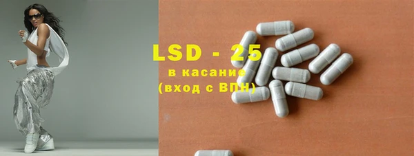 стаф Алексин