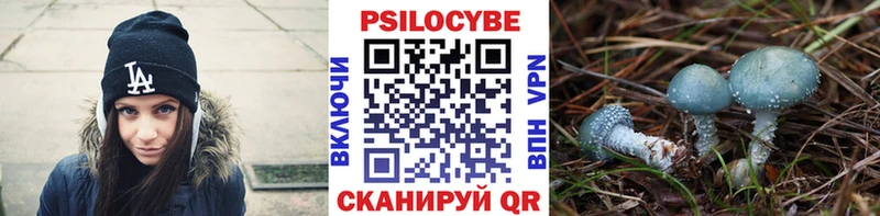 блэк спрут tor Новомичуринск Галлюциногенные грибы мицелий